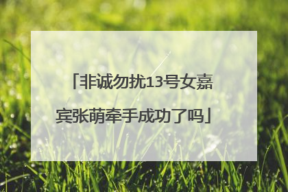 非诚勿扰13号女嘉宾张萌牵手成功了吗