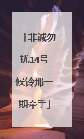 非诚勿扰14号候铃那一期牵手