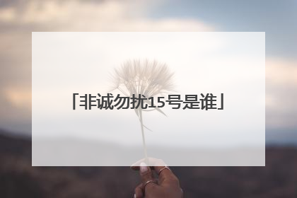 非诚勿扰15号是谁
