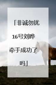 非诚勿扰16号刘晔牵手成功了吗