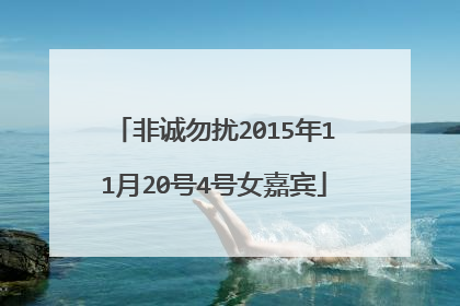 非诚勿扰2015年11月20号4号女嘉宾