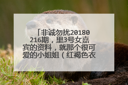 非诚勿扰20180216期，里3号女嘉宾的资料，就那个很可爱的小姐姐（红褐色衣服，胸前有两朵花的