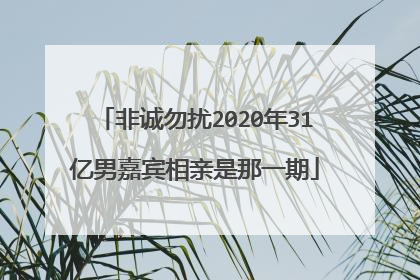 非诚勿扰2020年31亿男嘉宾相亲是那一期