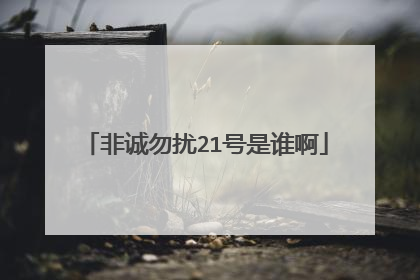 非诚勿扰21号是谁啊
