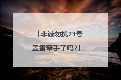 非诚勿扰23号孟雪牵手了吗?