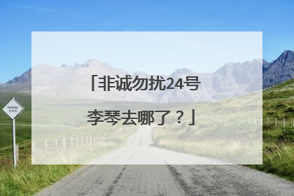 非诚勿扰24号 李琴去哪了?