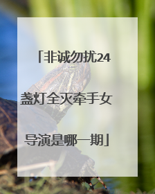 非诚勿扰24盏灯全灭牵手女导演是哪一期