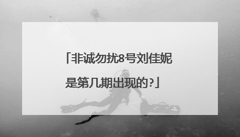 非诚勿扰8号刘佳妮是第几期出现的?