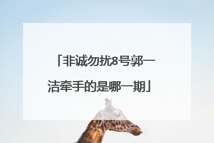 非诚勿扰8号郭一洁牵手的是哪一期