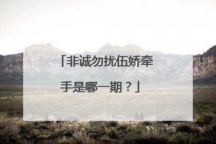 非诚勿扰伍娇牵手是哪一期?