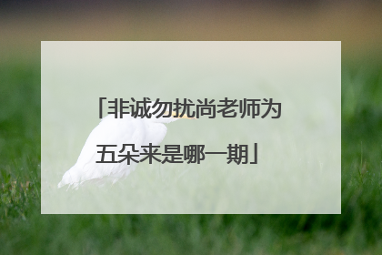 非诚勿扰尚老师为五朵来是哪一期