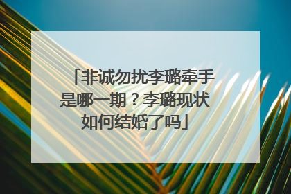 非诚勿扰李璐牵手是哪一期？李璐现状如何结婚了吗