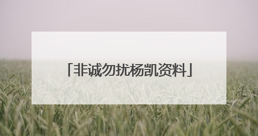 非诚勿扰杨凯资料