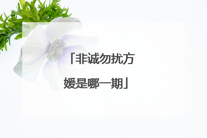 非诚勿扰方媛是哪一期