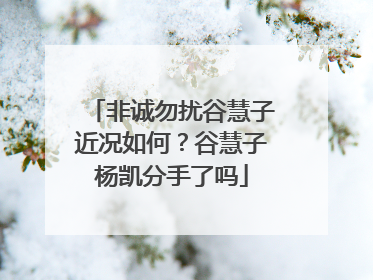 非诚勿扰谷慧子近况如何?谷慧子杨凯分手了吗