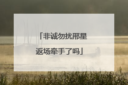 非诚勿扰邢星返场牵手了吗