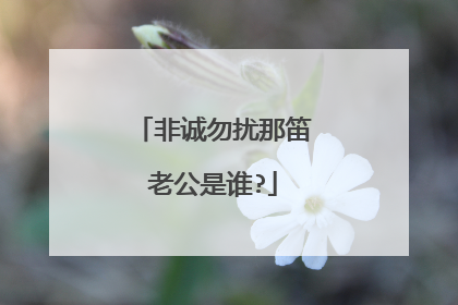 非诚勿扰那笛老公是谁?