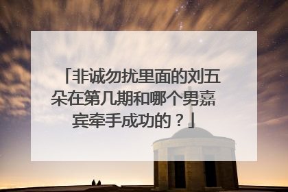 非诚勿扰里面的刘五朵在第几期和哪个男嘉宾牵手成功的?