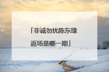 非诚勿扰陈东缘返场是哪一期