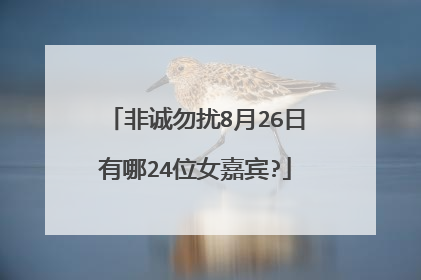 非诚勿扰8月26日有哪24位女嘉宾?