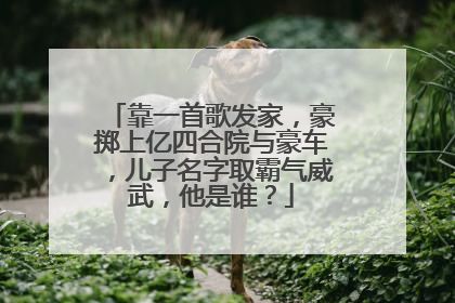 靠一首歌发家,豪掷上亿四合院与豪车,儿子名字取霸气威武,他是谁?