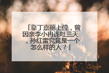 靠丁嘉丽上位，曾因亲李小冉连吐三天，孙红雷究竟是一个怎么样的人？