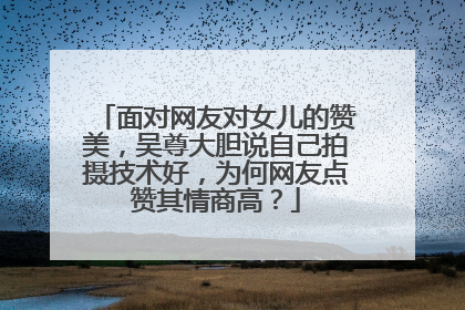 面对网友对女儿的赞美，吴尊大胆说自己拍摄技术好，为何网友点赞其情商高？