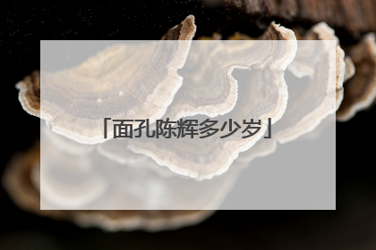 面孔陈辉多少岁