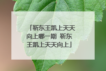 靳东王凯上天天向上哪一期 靳东王凯上天天向上