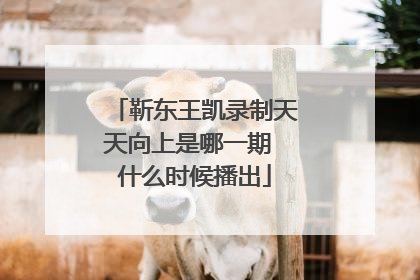 靳东王凯录制天天向上是哪一期 什么时候播出