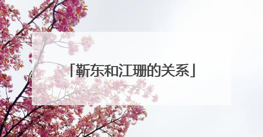 靳东和江珊的关系