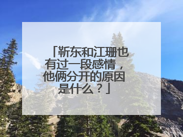 靳东和江珊也有过一段感情，他俩分开的原因是什么？