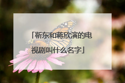 靳东和蒋欣演的电视剧叫什么名字