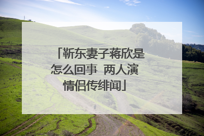 靳东妻子蒋欣是怎么回事 两人演情侣传绯闻