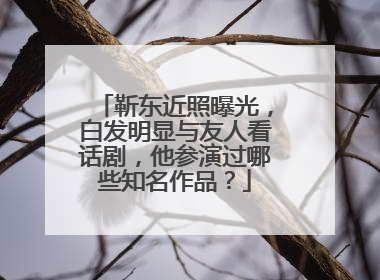 靳东近照曝光，白发明显与友人看话剧，他参演过哪些知名作品？