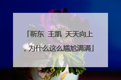 靳东 王凯 天天向上，为什么这么尴尬满满