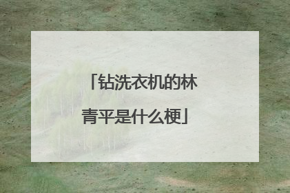 钻洗衣机的林青平是什么梗