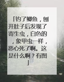 钓了鲫鱼,刨开肚子后发现了寄生虫,白色的,象甲虫一样,恶心死了啊。这是什么啊?有图