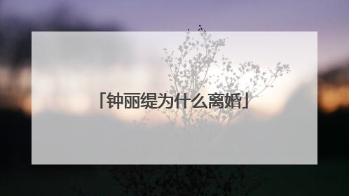 钟丽缇为什么离婚