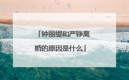 钟丽缇和严铮离婚的原因是什么