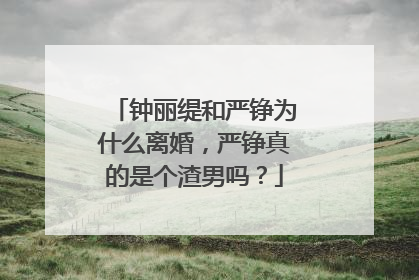 钟丽缇和严铮为什么离婚,严铮真的是个渣男吗?