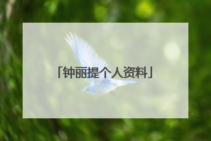 钟丽提个人资料