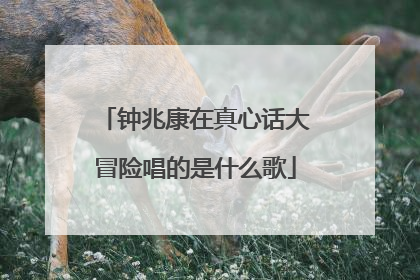 钟兆康在真心话大冒险唱的是什么歌