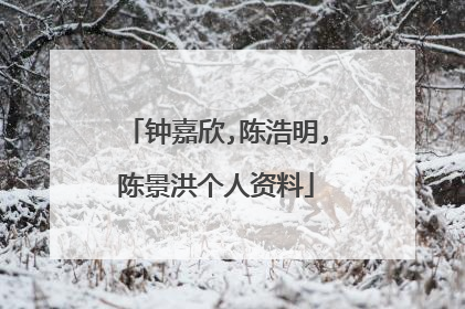 钟嘉欣,陈浩明,陈景洪个人资料