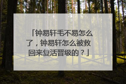 钟易轩毛不易怎么了，钟易轩怎么被救回来复活晋级的？