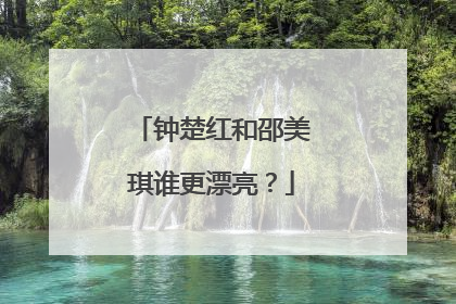 钟楚红和邵美琪谁更漂亮?