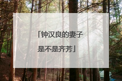 钟汉良的妻子是不是齐芳