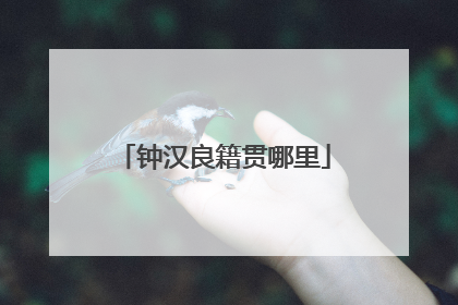 钟汉良籍贯哪里