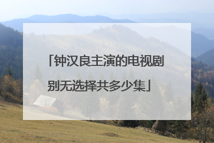 钟汉良主演的电视剧别无选择共多少集