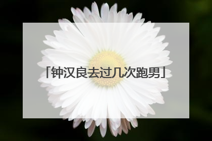 钟汉良去过几次跑男